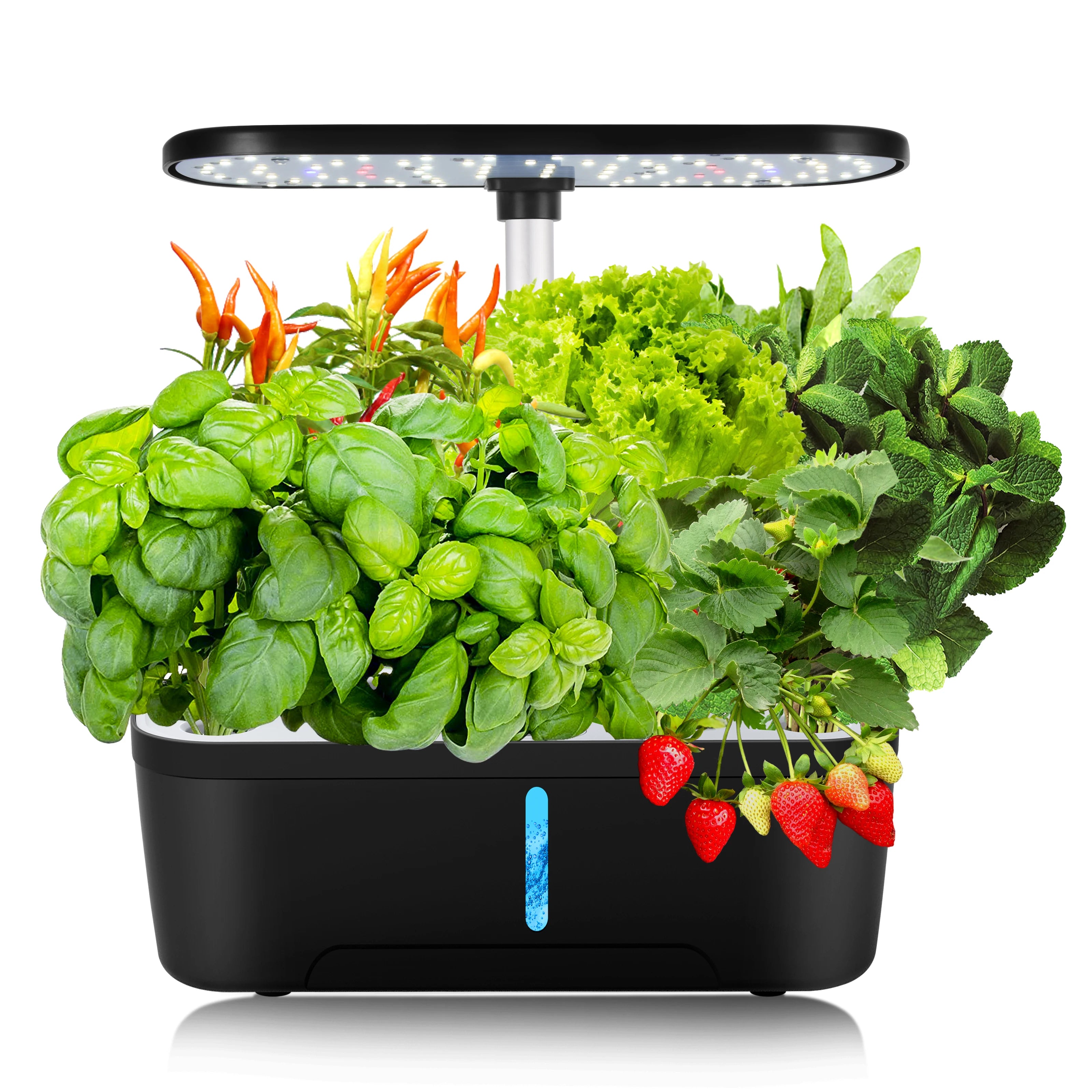 12 Pods Smart Hydroponisches Indoor-Garten-Kit mit Vollspektrum-LED-Wachstumslicht, automatischer Wasserpumpe, Kräuterpflanzer für die Heimküche